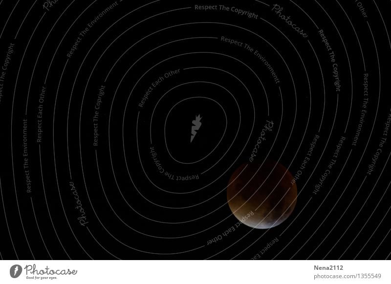 MoFi - almost total Environment Nature Elements Sky Night sky Moon Lunar eclipse Full  moon Esthetic Exceptional Threat Dark Fantastic Far-off places Gigantic