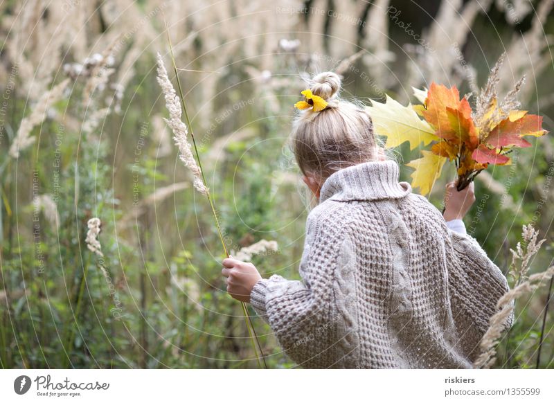 Collect autumn treasures Human being Feminine Child Girl Infancy 1 3 - 8 years Environment Nature Plant Autumn Grass Leaf Forest Discover To hold on Looking