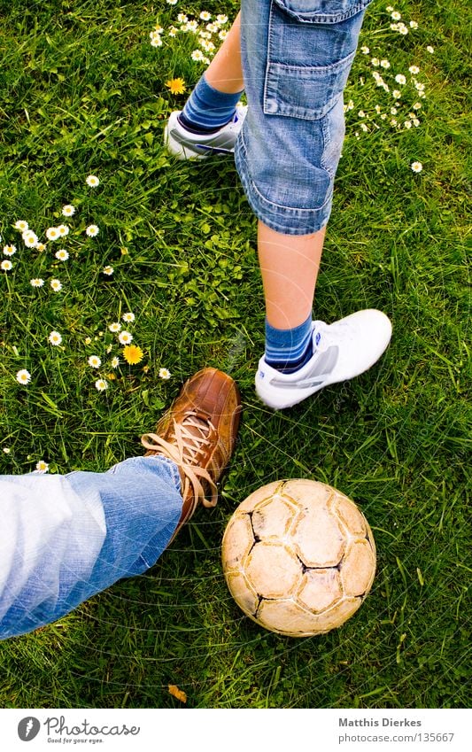 duel Ball sports Summer Meadow Daisy Plant Green Green undertone Pants Jeans Footwear Leather shoes Soccer Leisure and hobbies Spontaneous Sports Air Duel