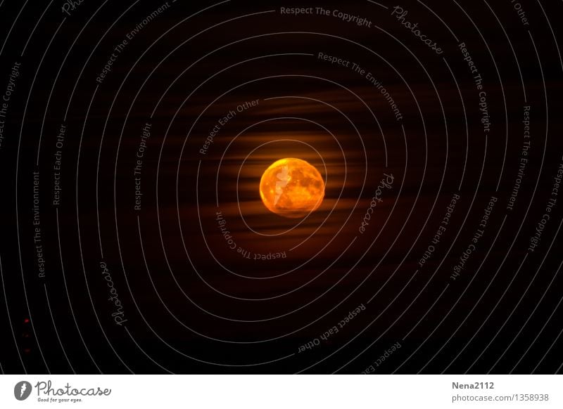 full moon Environment Air Sky Clouds Night sky Moon Full  moon Beautiful weather Fantastic Round Yellow Gold Orange Mystery Moonlight Moonrise Moonstruck NASA