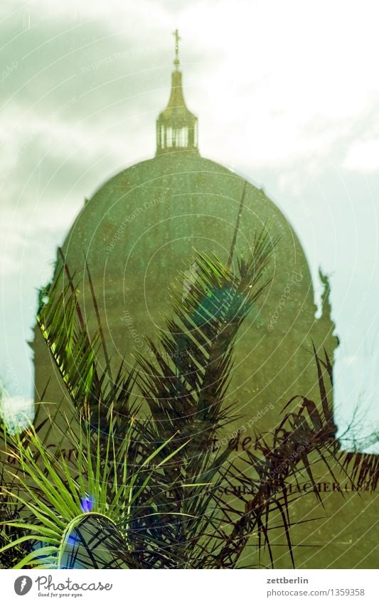 Berlin Cathedral Capital city Germany Dome Oberpfarrkirche zu Berlin Religion and faith Church Christianity Domed roof Reflection Window pane Mirror Palm tree