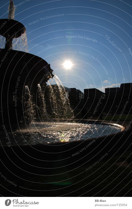 solar spring Well Light Reflection Black Source Silhouette Splashing Glittering Yellow Beautiful Summer Physics Exterior shot Water Sky Garden Park Blue Sun