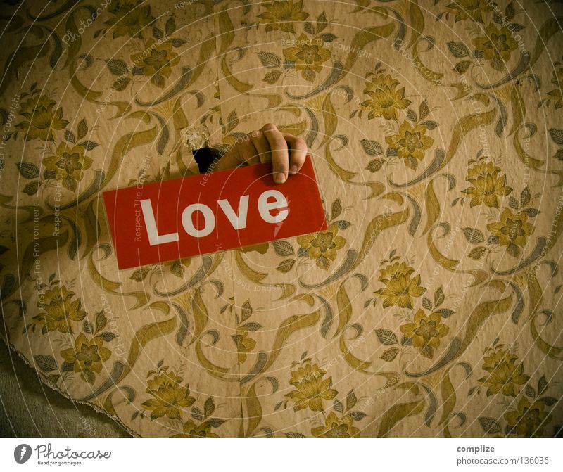 love in the 50´s Club Handyman Produce To wallpaper Craftsperson Craft (trade) Home improvement Brothel Hotel Deluxe Redecorate Redevelop Love Affection Repair