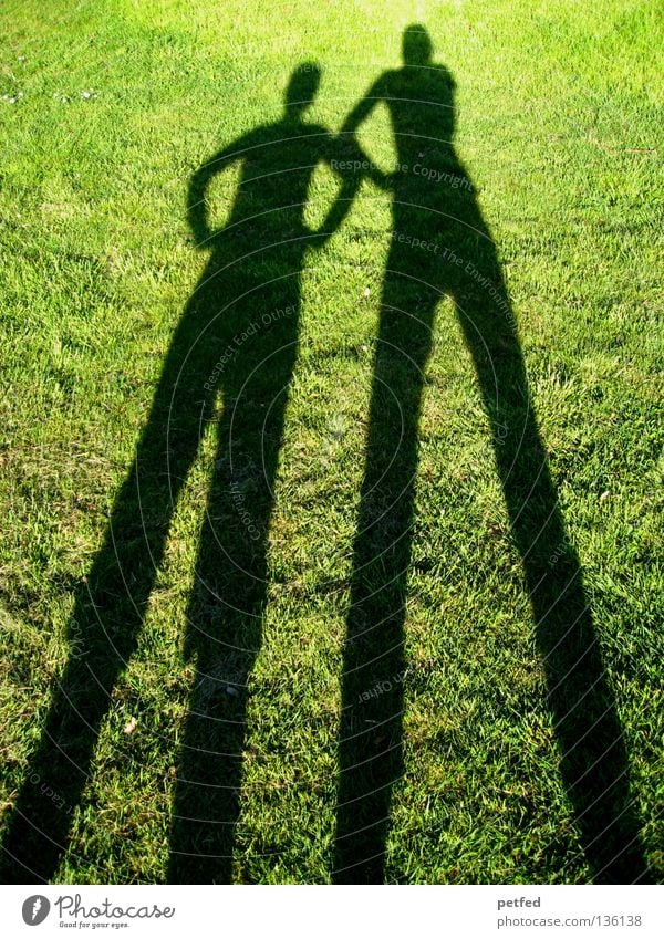 What...? Meadow Grass Light Green Black Bend Stoop Under Narrow Long Obscure Human being Shadow Sun Joy Funny Nature Life fun Legs Arm Above Exterior shot