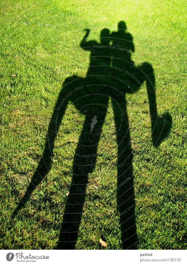 Egyptian Dance Meadow Grass Light Green Black Bend Stoop Under Narrow Long Obscure Human being Shadow Sun Joy Funny Nature Life fun Legs Arm Above Exterior shot