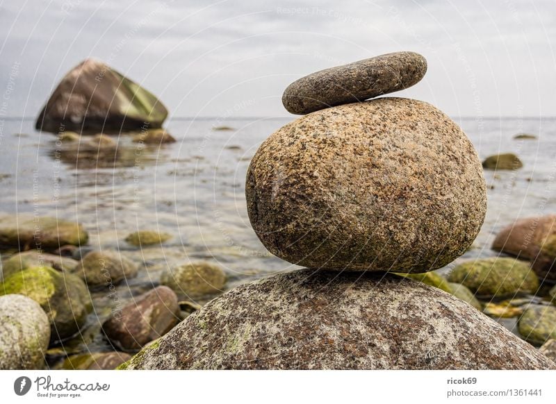 Baltic coast Relaxation Vacation & Travel Nature Landscape Rock Coast Baltic Sea Ocean Stone Calm Tourism Stone block swan stone Sky Rügen Lohme