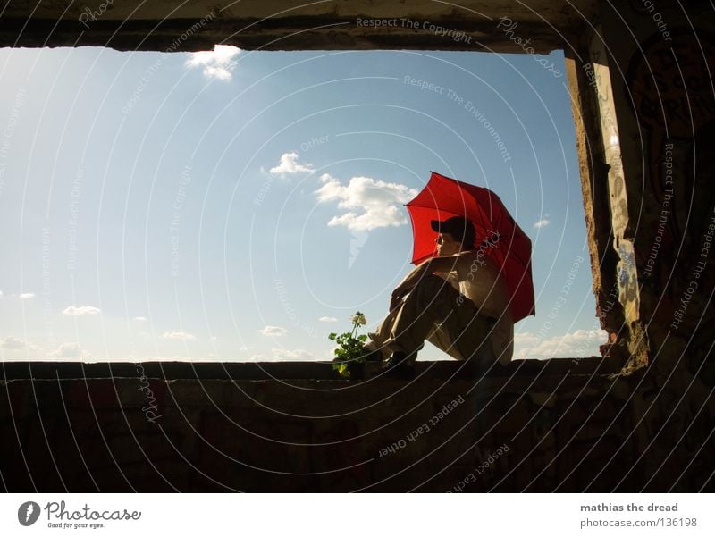 WINDOW IV Clouds Flower Plant Flowerpot Pot plant Style Lifestyle Live Dark Black White Multicoloured Light Sunbeam Shaft of light Concrete Broken Derelict