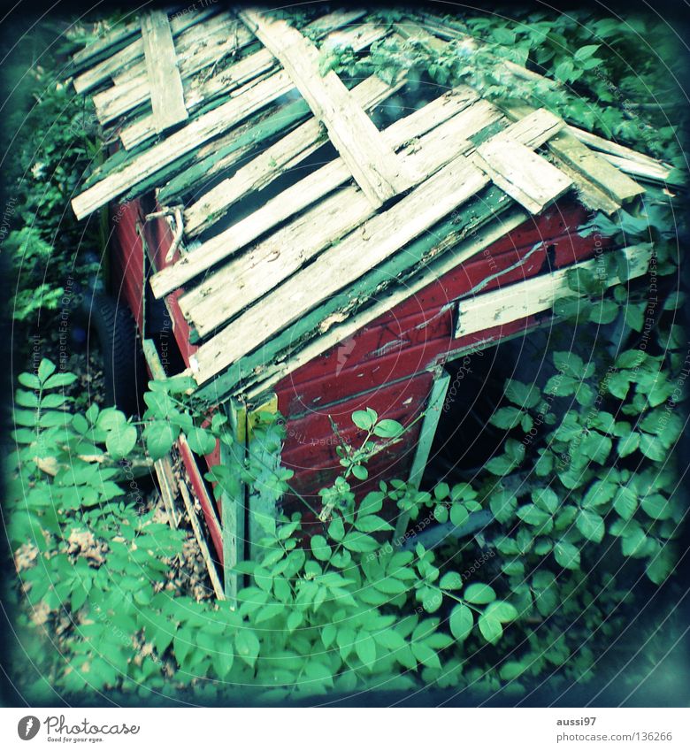 pergola Hazy Grid Pattern Analog Viewfinder Derelict Edge Bordered Lightshaft light shaft searcher binocular Reflection viewfinder camera focus Focal point