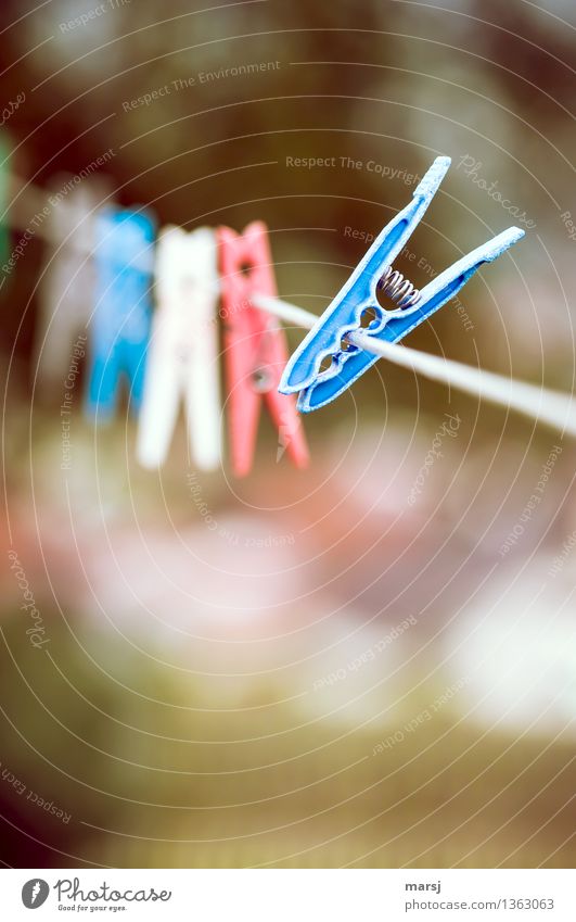 You fell out of time and you're gonna break ranks! Clothesline Clothes peg Holder Plastic Old Retro Blue Multicoloured Red To hold on Past Weathered deceased