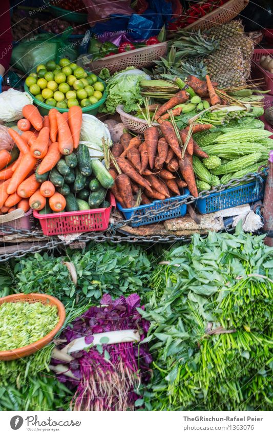 vegetable stall Food Vegetable Lettuce Salad Blue Brown Multicoloured Yellow Gray Green Violet Orange Pink Black Turquoise White Carrot Fresh Herbs and spices