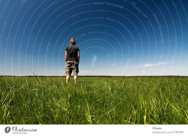 chillout sunday - outlook Vantage point Far-off places April Relaxation To enjoy Grass Green Light blue Youth (Young adults) Man Stand Masculine Rest Sky Summer