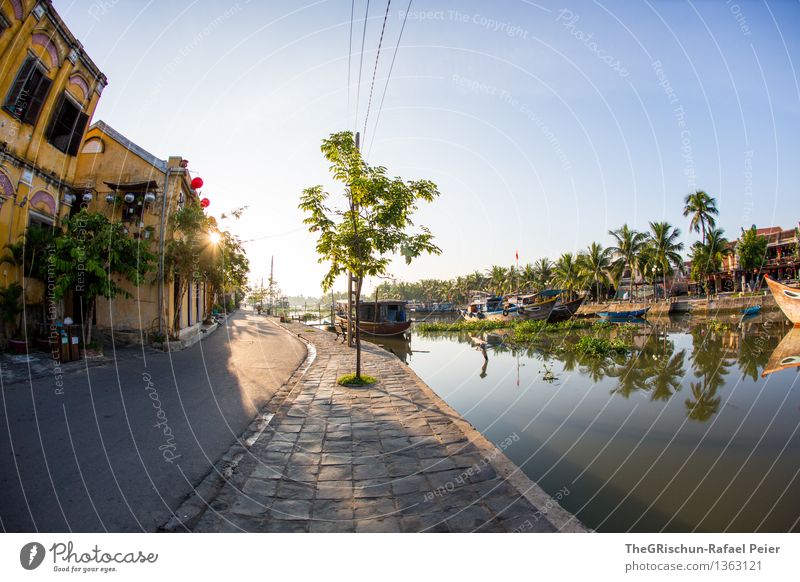 Good Morning Vietnam Landscape Blue Gold Gray Green Orange Black White Hoi An Sunrise Back-light House (Residential Structure) Fisheye Tree Palm tree Street