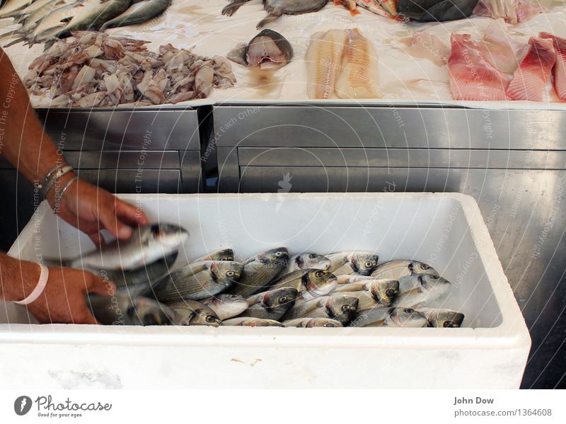 Fresh fish Fish Nutrition Eating Fishing (Angle) Vacation & Travel Hand 1 Human being Work and employment Authentic Smoothness Motion blur Seafood Fish market