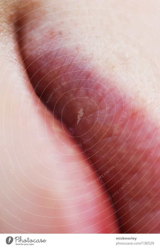 The line of good taste Lips Delicate Pink Red Corner of the mouth Pore Gutter Macro (Extreme close-up) Close-up Mouth Skin cherry red Line breath mick morley