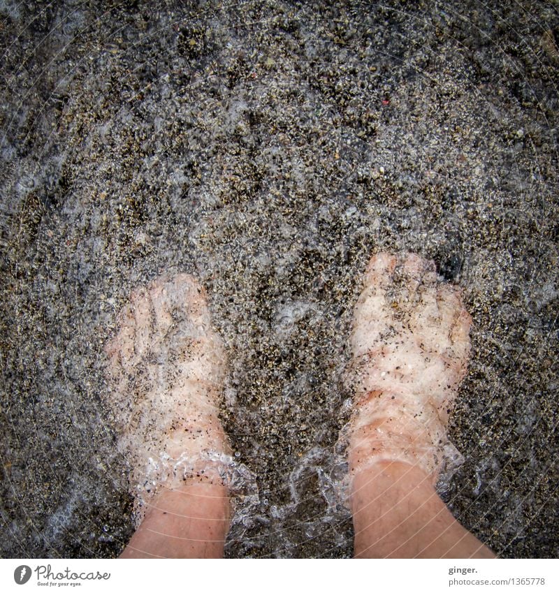 Cold feet in water Feet 1 Human being Sand Water Spring Naked Wet Clean Brown Gray Skin Toes Tingle Sea water Foot bath Waves Stand marbled Colour photo