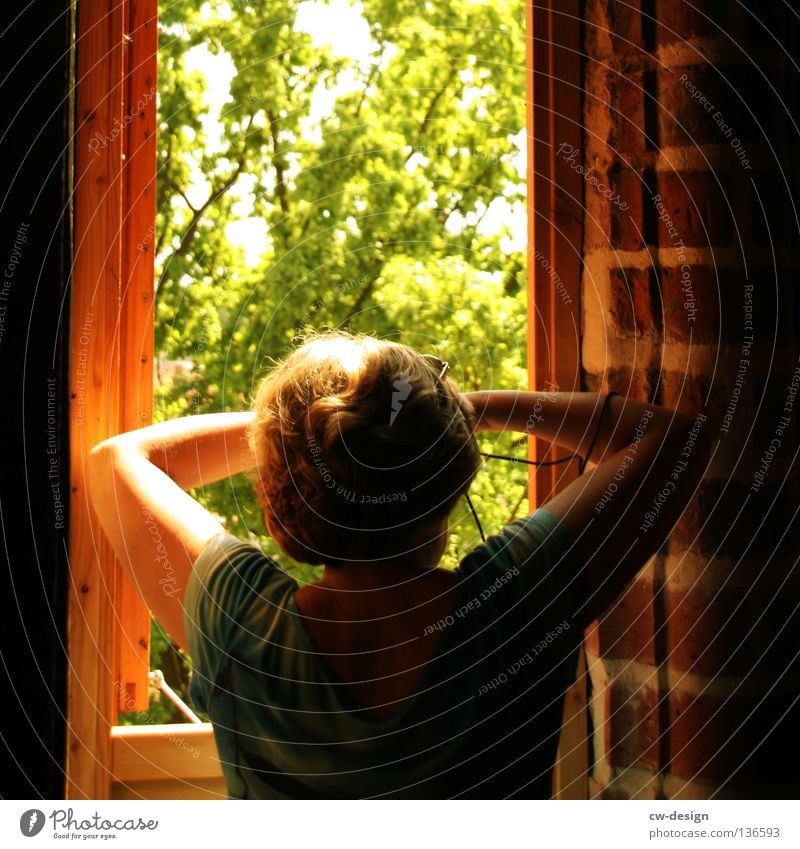 At the window Window Clouds Flower Plant Tree Style Lifestyle Live Dark Black White Multicoloured Light Sunbeam Shaft of light Concrete Broken Derelict Narrow