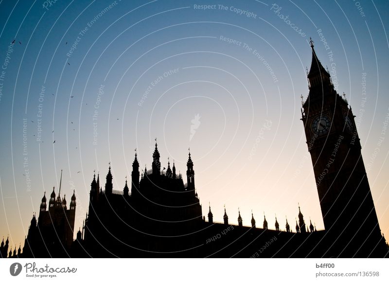 sightseeing silhouette London Black Back-light Bird Sightseeing Manmade structures Big Ben Houses of Parliament Sunset Large Threat England Politics and state