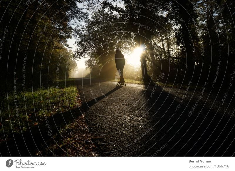 senile Human being Masculine 1 Traffic infrastructure Street Emotions Moody Skateboard Driving To enjoy Roll Sports Autumn Brilliant Asphalt Shadow Beautiful