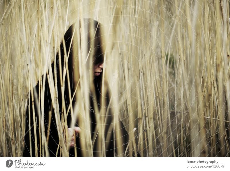 Thoughts lost Common Reed Lake Concealed Virgin forest Blur Unclear Think Doomed Lose Search Lanes & trails Go under Woman Grief Lovesickness Loneliness