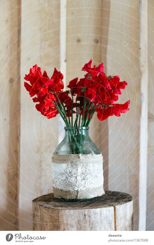 red flower Bottle Lifestyle Elegant Style Joy Harmonious Leisure and hobbies Adventure Freedom Dream house Interior design Decoration Event Flower pea Linen