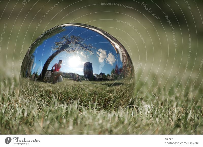 The earth is a sphere Tree Mirror Fantastic Clouds Lawn Apple tree Beautiful Fisheye Sphere round thing small world monkey swing Swing