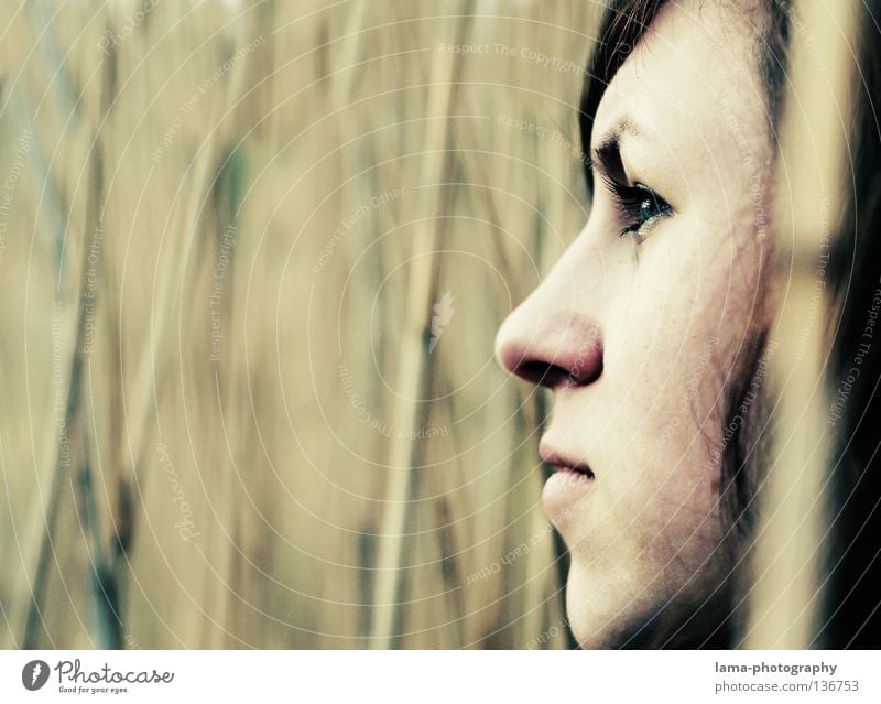 confidence Hope Earnest Self-confident Self-confidence Silhouette Portrait photograph Beautiful Feminine Vantage point Common Reed Lake Concealed Virgin forest