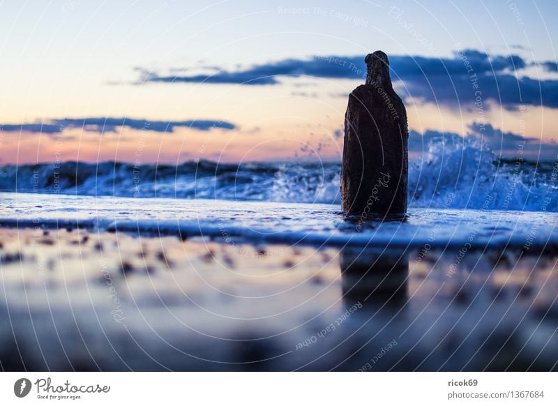 Baltic coast Relaxation Vacation & Travel Beach Ocean Nature Landscape Water Clouds Coast Baltic Sea Old Romance Idyll Calm Tourism Break water Sky Sunset