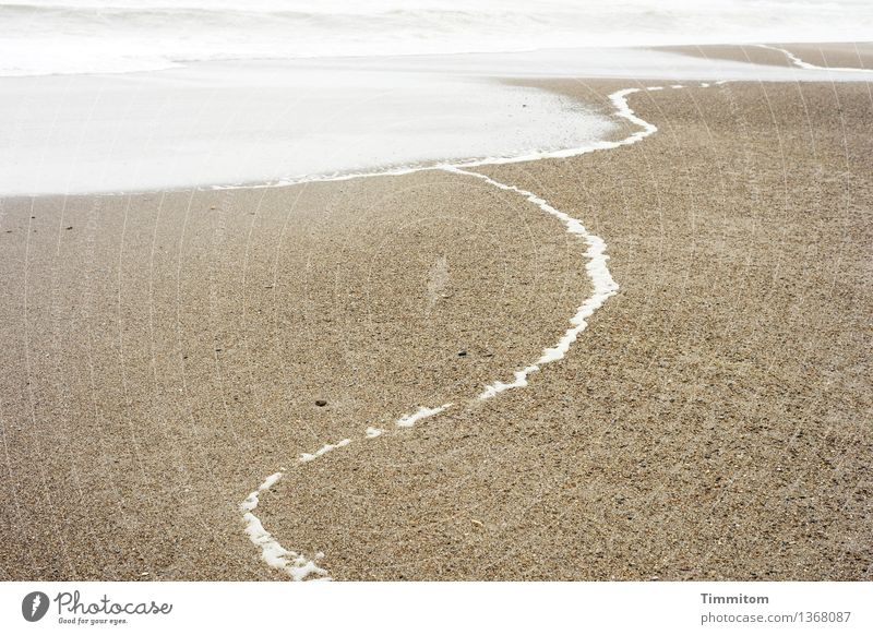 Easy, easy. Environment Nature Landscape Sand Water Summer Weather Waves Coast North Sea Denmark Esthetic Bright Natural Brown White Emotions Calm Life