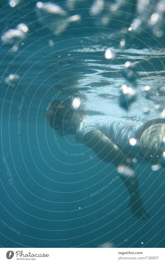 LOOKING BACK Maldives Dive Snorkeling Woman Under India Ocean Air bubble Rotate Revue Occur Leave Diver Surface of water Underwater photo Ambiguous Asia