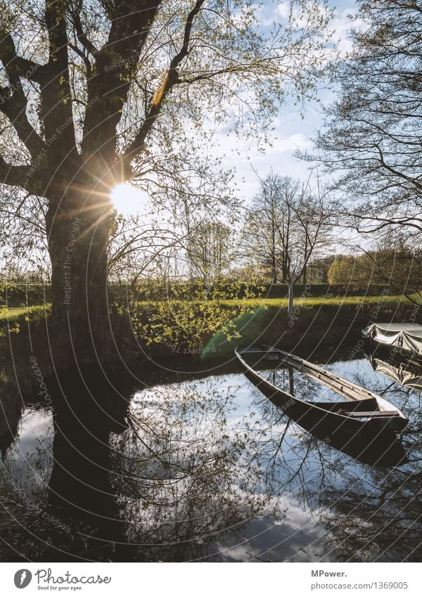 an`er spree Environment Nature Landscape Water Sky Clouds Tree Leaf Blossom Foliage plant Coast Lakeside River bank Bay Pond Bright Watercraft Spreewald