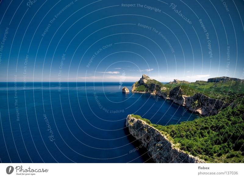 No. 1 0 0 - Just sea Ocean Coast Cliff Mainland Lake Sea water Seagull Watercraft Tree Spain Majorca Cap Formentor Steep Stone Stony Blue Clouds Sky blue