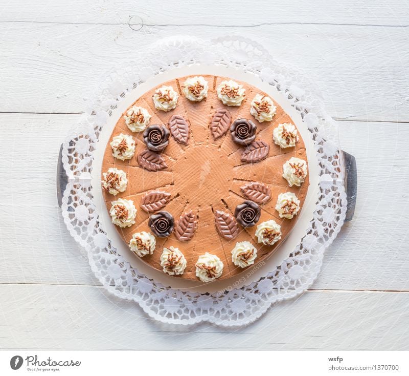 Chocolate cream cake on white wood with cake lace Cake Dessert Wood White chocolate cream cake Gateau foam pastries Cream cake top Baked goods sponge cake