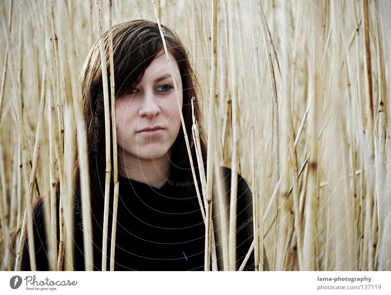 contentment Contentment Hope Earnest Self-confident Self-confidence Silhouette Portrait photograph Beautiful Feminine Vantage point Common Reed Lake Concealed