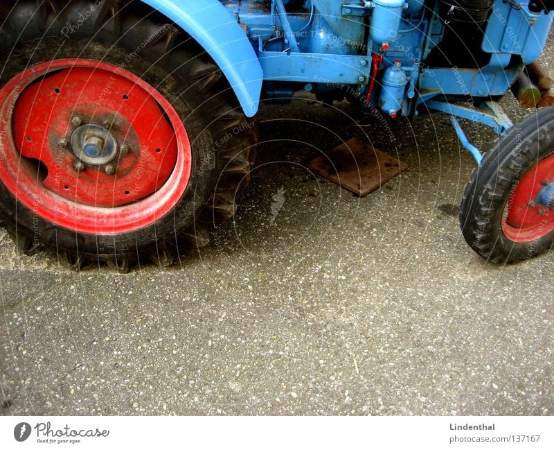 My old blue Tractor Large Tar Asphalt Agriculture Machinery Transport Blue