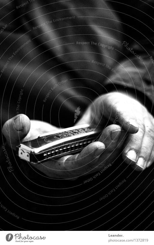 Harmonica in hand II Music To hold on Listen to music Moody Caution Interest Lovesickness Success Idea Identity Uniqueness Innovative Inspiration Shame