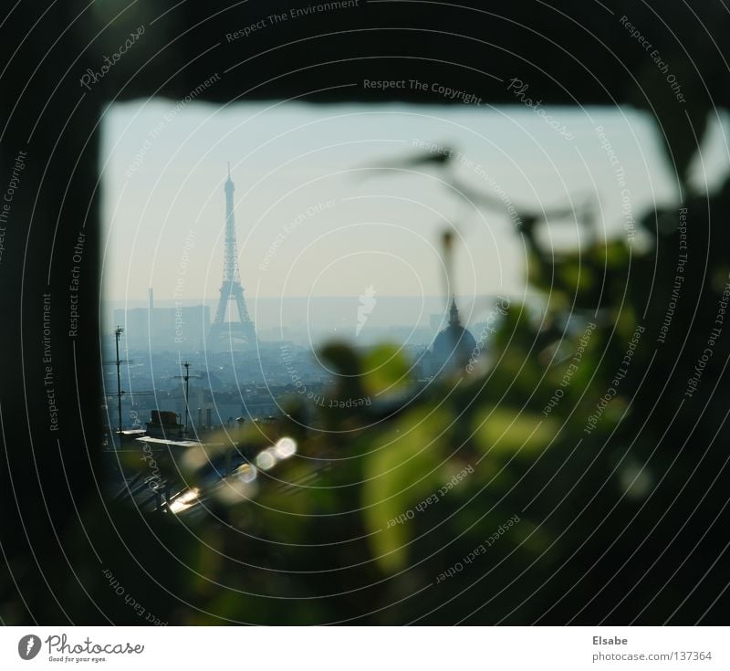 Outside on the balcony Paris Balcony Plant Eiffel Tower Sunlight Sunset Light Sunbeam Sky Summer Summer evening Tepid Physics Morning Evening Town Vantage point