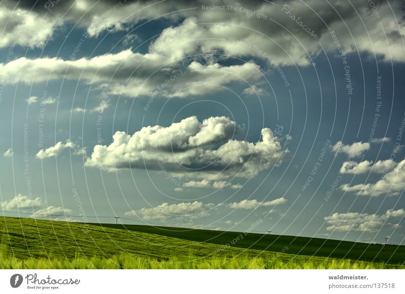 Mecklenburg region Landscape Sky Clouds Summer Meadow Field Agriculture Mecklenburg-Western Pomerania Nature Far-off places