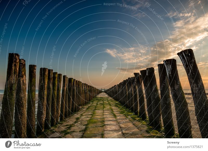 stand on one's trellis Vacation & Travel Tourism Trip Nature Landscape Sky Clouds Summer Beautiful weather Coast Lakeside North Sea Ocean Concrete Wood Wet Blue