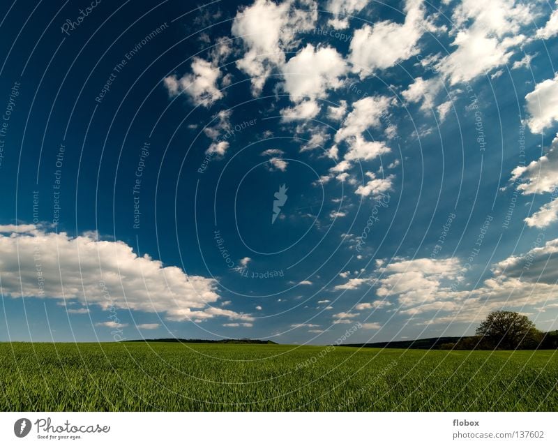 Green and blue... III Agriculture Field Clouds in the sky Cloud field Cloud formation Wisp of cloud Sky blue Nature Landscape Deserted Far-off places Wide angle