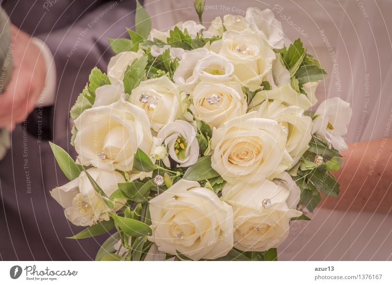 Bridal bouquet of the bride with flowers roses in white at wedding Decoration Feminine 1 Human being 2 Plant Summer Flower Rose Blossom Accessory Jewellery