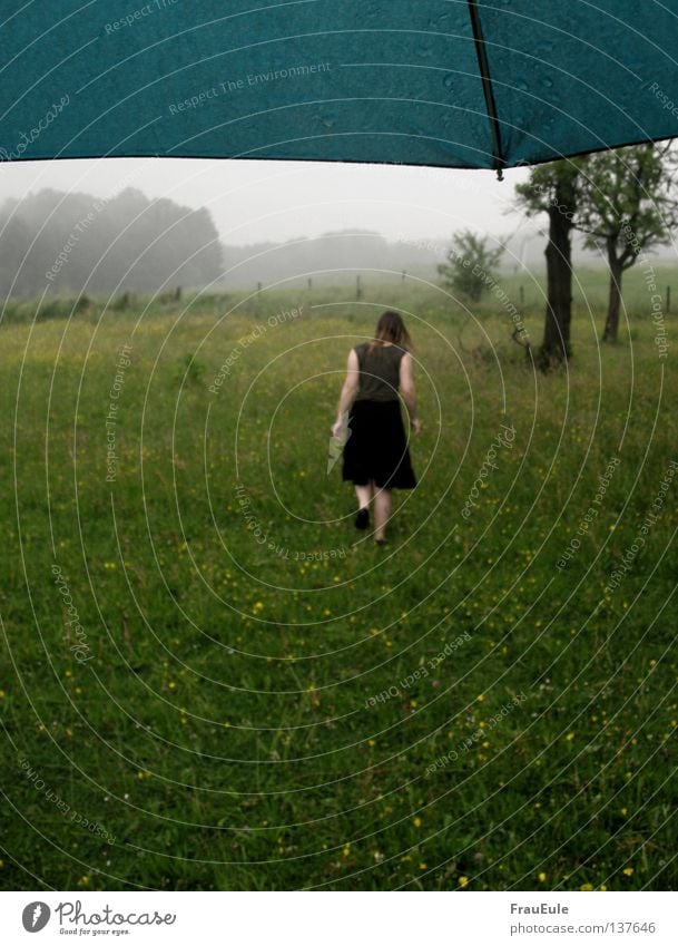 summer rain Rain Umbrella Gale Summer Meadow Tree Flower Fog Woman Safety (feeling of) Wet Turquoise Bad weather Clouds Thunder and lightning