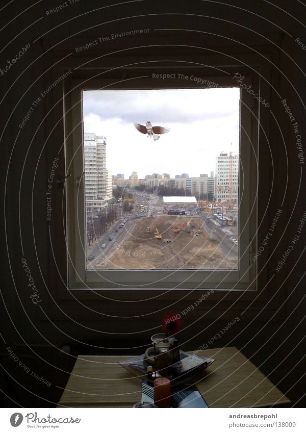 Window to Alex Alexanderplatz Dreary Gloomy Sharp-edged Town Construction site Traffic infrastructure alex Frame Sky