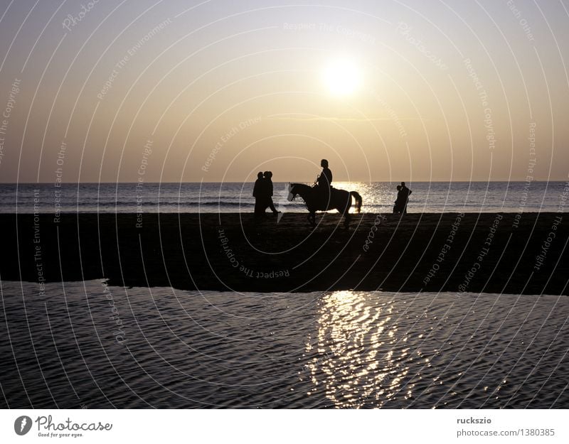 Rider by the sea Spa Tourism Beach Ocean Waves Equestrian sports Nature Landscape Animal Sand Water Sunrise Sunset Coast North Sea Lake Horse Hiking Dusk