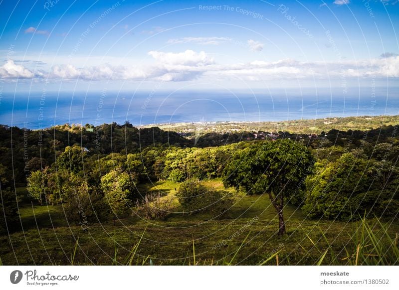 Guadeloupe View Environment Nature Landscape Plant Elements Water Earth Sky Clouds Horizon Summer Beautiful weather Tree Blue Green Caribbean Vantage point