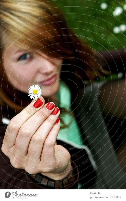 giveaway Daisy Fingers Hand Groomed Nail polish Red Green Brown Varnished Fingernail Woman Young woman Beautiful Congenial Friendliness Meadow Grass Tights