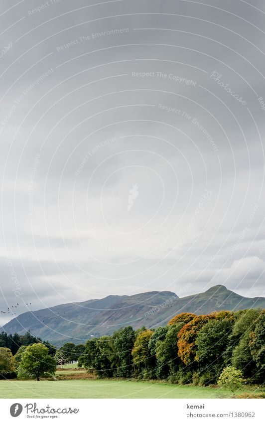 Autumn in the Lakes Trip Adventure Freedom Environment Nature Landscape Plant Animal Sky Clouds Bad weather Tree Meadow Forest Hill Mountain