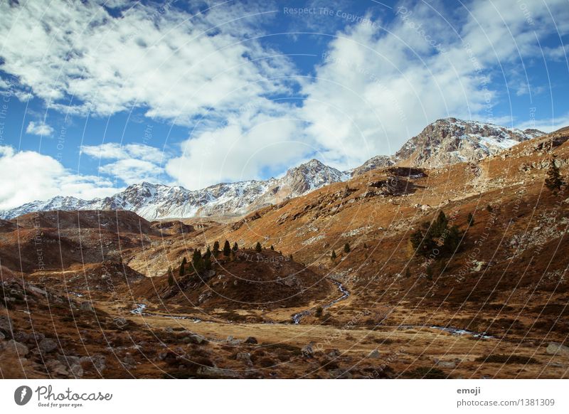 landscape Environment Nature Landscape Sky Autumn Beautiful weather Field Hill Alps Mountain Peak Snowcapped peak Natural Blue Brown Switzerland Pass