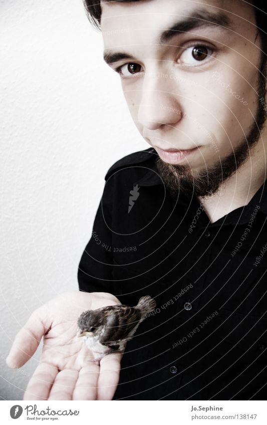 he likes birds. Man Adults Cute Soft Trust Safety (feeling of) Love of animals Sparrow Fragile Protect Look after To hold on Looking Face Facial hair Shirt