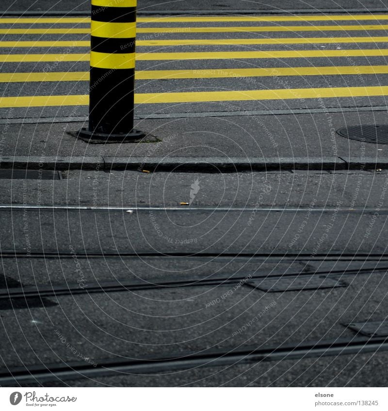 monotony Yellow Stripe Zebra Curbside Direction Urban traffic regulations Road traffic Town Turn off Cycle path Empty Crossroads Lane markings Gray Asphalt