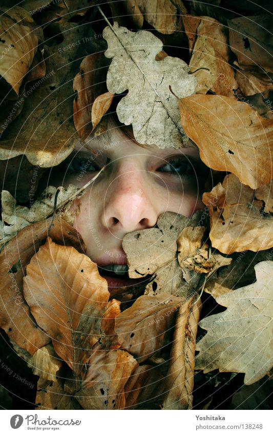 ONE LAST LOOK Leaf Brown Woman Girl Spill Doomed Far-off places Calm Loneliness Lose Death Cold Grief Distress Transience Dangerous ossified buried Bury Soul